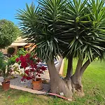 Casa La Siesta- Ruhiges Ferienhaus In Cala Ratjada, 300 M Vom Strand Son Moll Entfernt